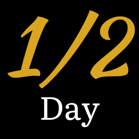 Half-Day Intensive Coaching or Therapy