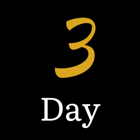 Three-Day Intensive Coaching or Therapy